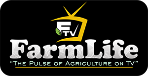 Farmlife 